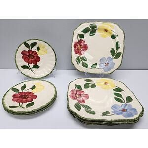 Blue Ridge Southern Potteries Hand Painted Floral Plates Set of 8 Vintage